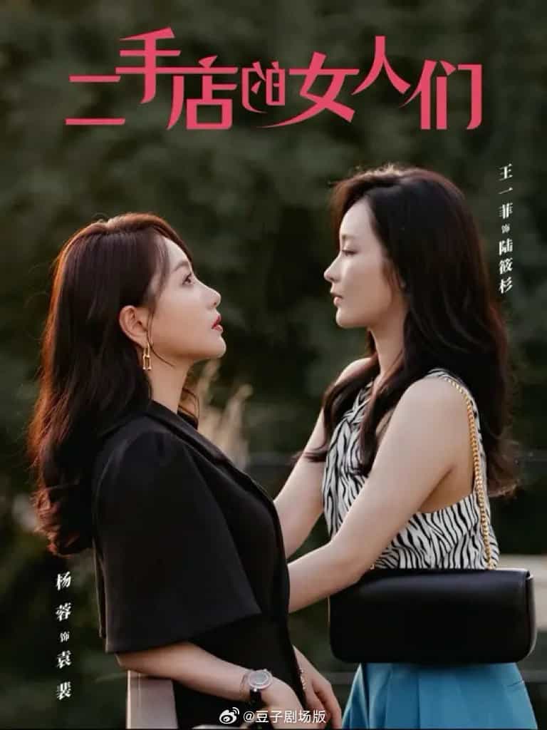 二手店的女人们海报